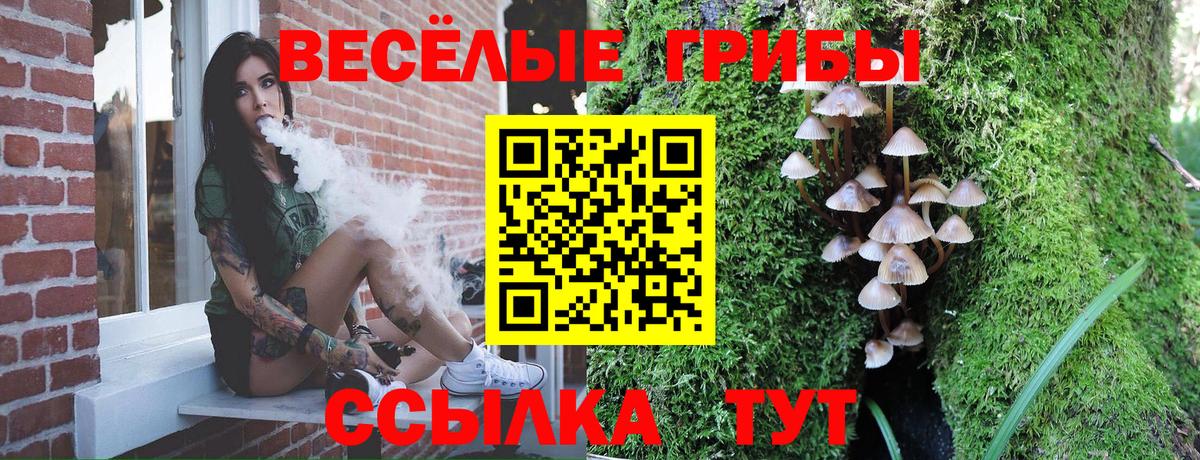 Узловая  Псилоцибиновые грибы ЛСД  Вход с VPN  Псилоцибиновые грибы Psilocybine cubensis 